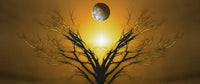 Mystic Tree of Life sunset or sunrise poster print by Bruce Rolff