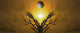 Mystic Tree of Life sunset or sunrise poster print by Bruce Rolff