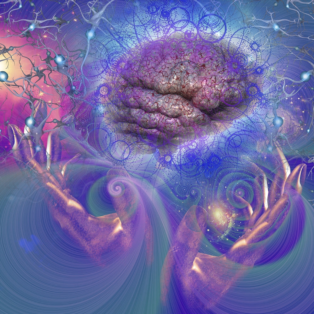 Human Mind in Hands of Creator Poster Print by Bruce Rolff, showcasing a thought-provoking design.