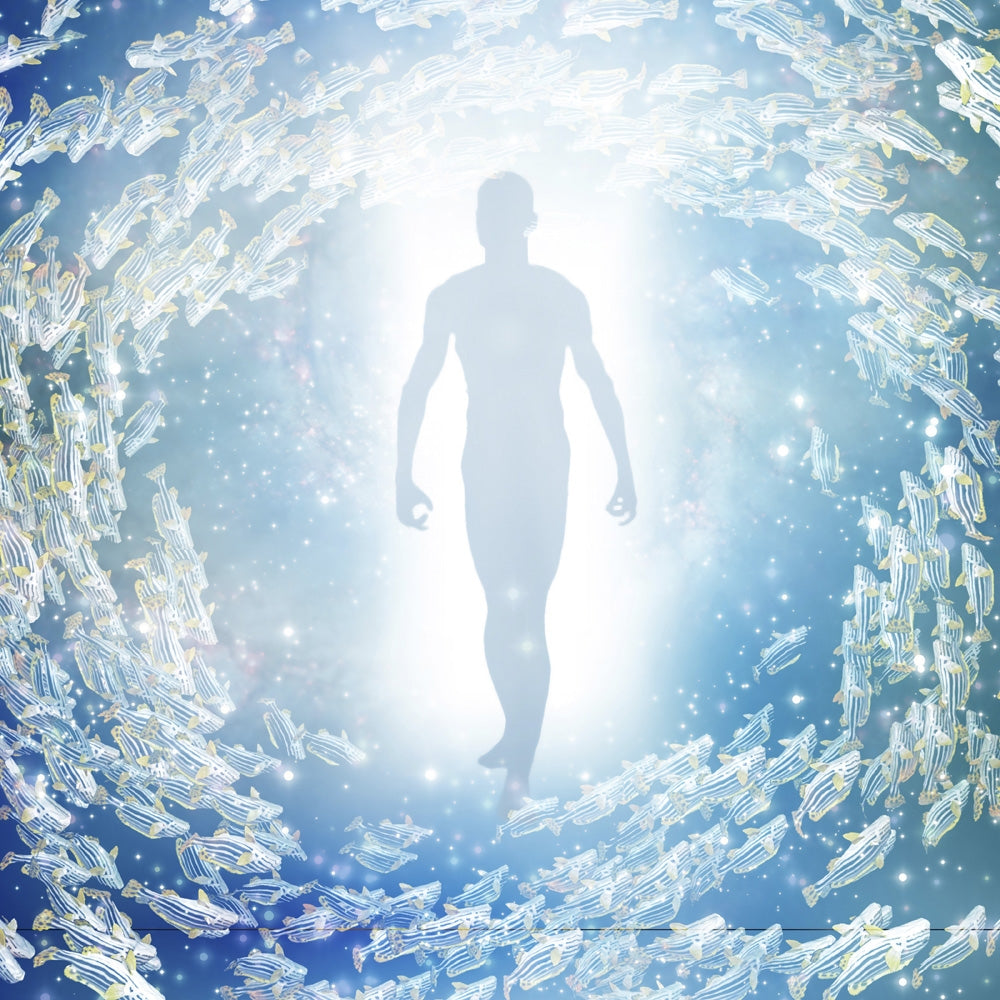 Human figure coming out of light tunnel with fish poster print by Bruce Rolff.