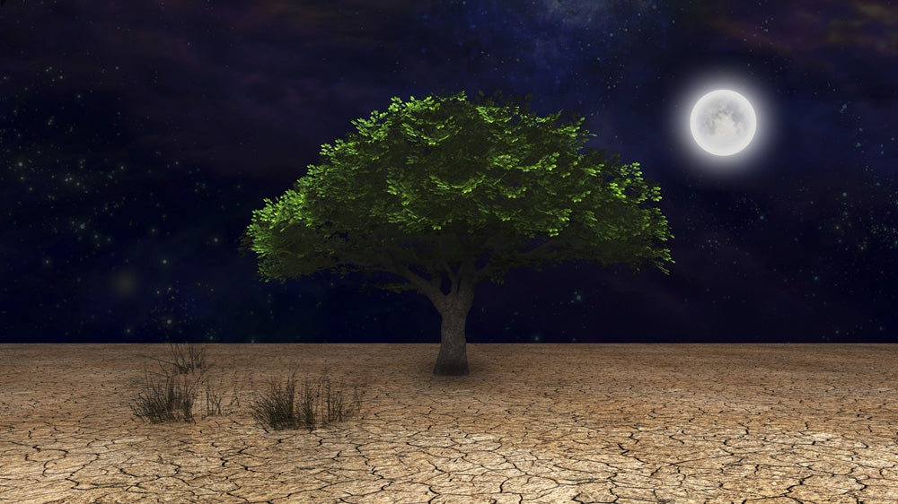 Surrealism Green Tree in Arid Land Poster Print by Bruce Rolff