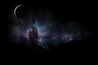 Magical Night Forest Landscape Poster Print