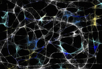 Weblike structure poster print symbolizing time and space.