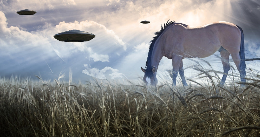 Horse grazing with UFOs floating in the sky poster print by Bruce Rolff