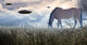 Horse grazing with UFOs floating in the sky poster print by Bruce Rolff