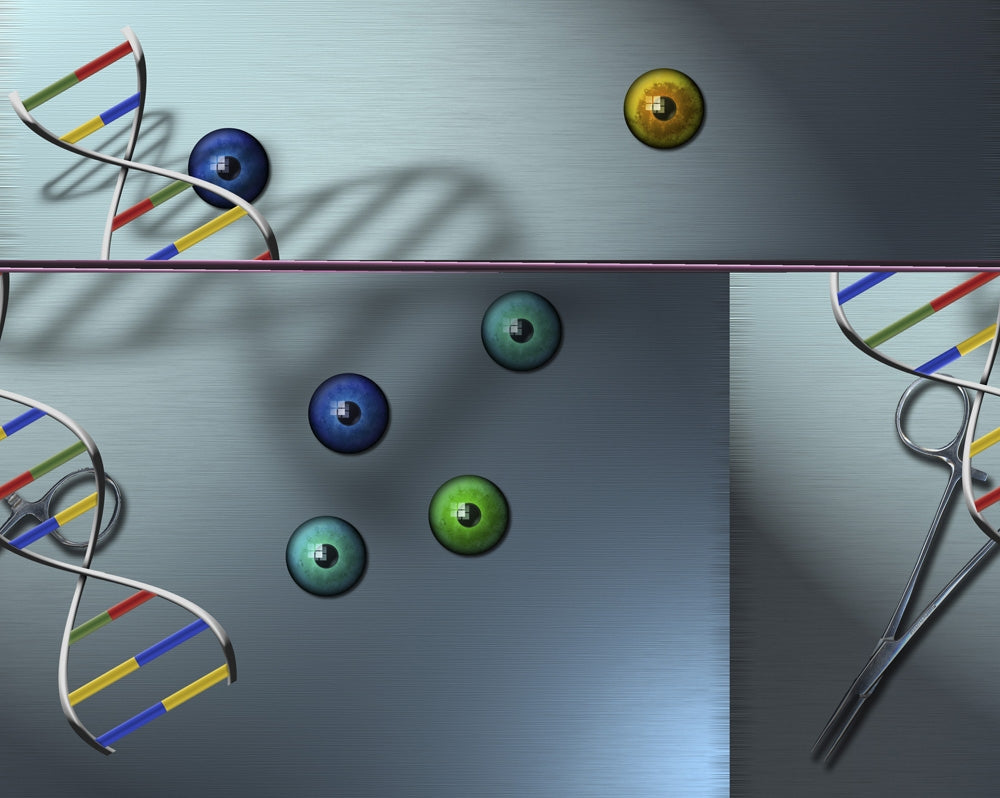 DNA Chain and Eyeballs Poster Print by Bruce Rolff, showcasing scientific artistry.