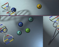 DNA Chain and Eyeballs Poster Print by Bruce Rolff, showcasing scientific artistry.