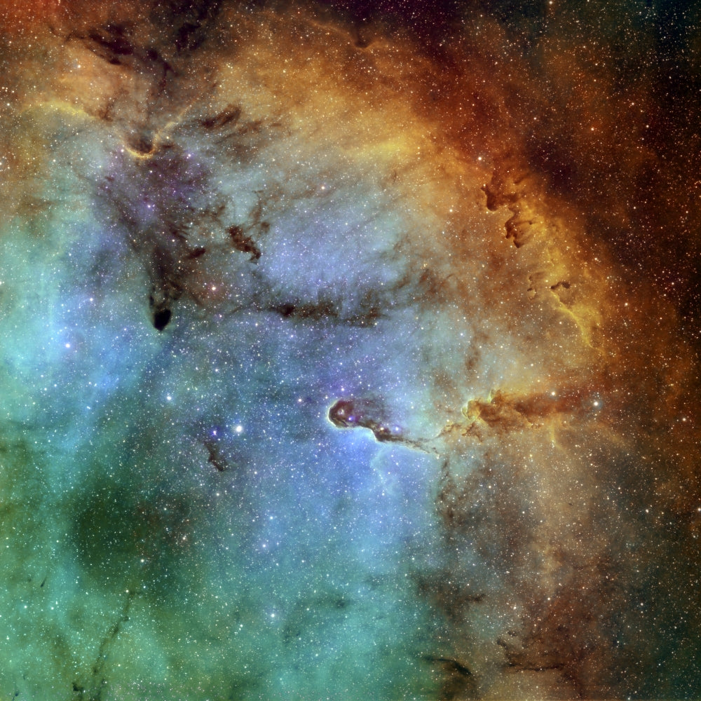 IC 1396 Elephant Trunk Nebula Poster Print with Hubble Palette Colors