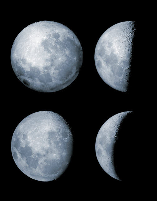 Four Phases of the Moon Poster Print by Rolf Geissinger, showcasing lunar phases.