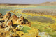 Dallol geothermal area potassium salt deposits poster print showcasing vibrant colors and unique formations.