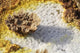 Dallol geothermal area poster print showcasing potassium salts and hot springs in Ethiopia.