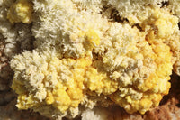 Dallol geothermal area poster print featuring yellow salt crystals.