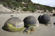 Moeraki Boulders poster print showcasing unique spherical formations on Koekohe Beach, New Zealand.