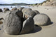 Moeraki Boulders Poster Print showcasing unique spherical septarian concretions on Koekohe Beach, New Zealand.