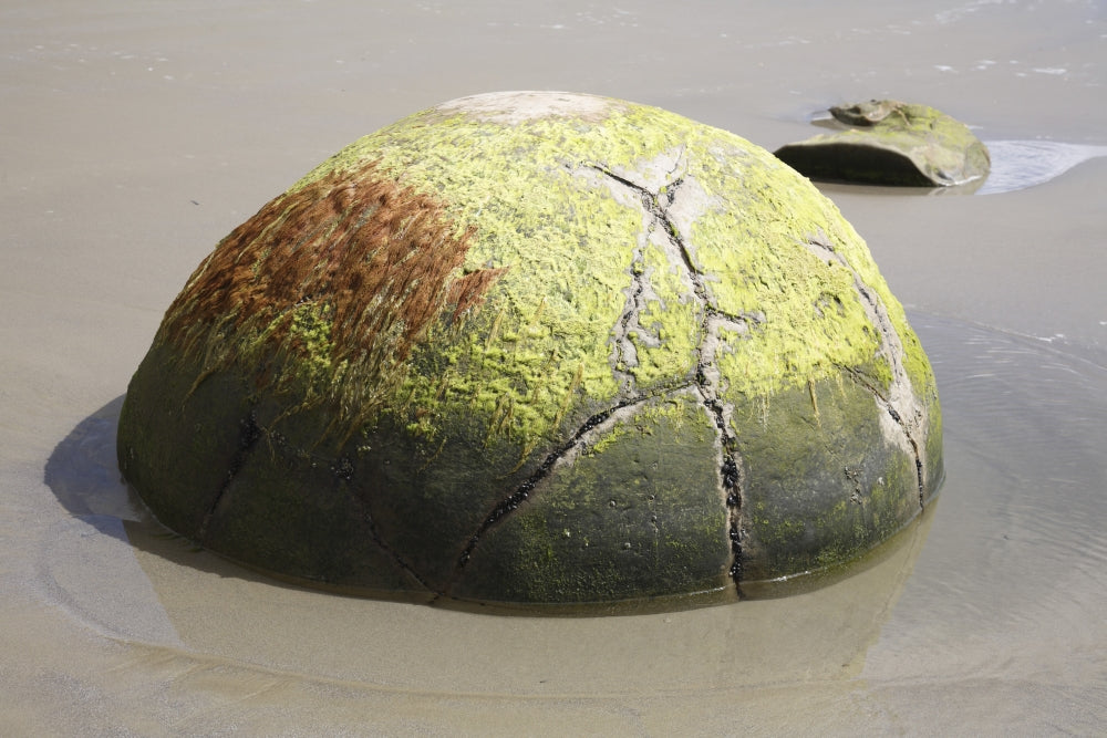 Moeraki Boulders Poster Print showcasing spherical septarian concretions on Koekohe Beach, New Zealand.