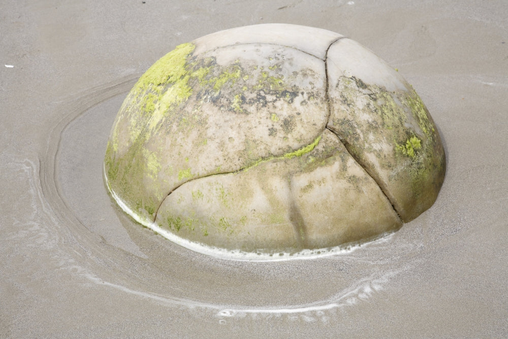Moeraki Boulders Poster Print showcasing spherical septarian concretions at Koekohe Beach, New Zealand.