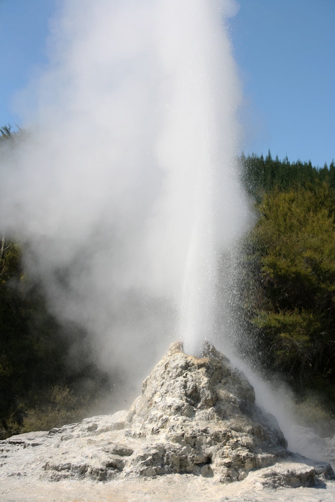 Lady Knox Geyser Poster Print from Wai-O-Tapu Geothermal Area, New Zealand