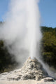 Lady Knox Geyser Poster Print from Wai-O-Tapu Geothermal Area, New Zealand