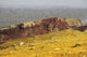 Yellow sulphurous deposits on Nyamuragira Volcano poster print showcasing volcanic landscape.