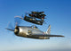 Grumman F8F Bearcats and F7F Tigercats flying in formation