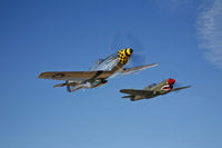 North American P-51D Mustang and Curtiss P-40E Warhawk in flight poster print