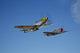 North American P-51D Mustang and Curtiss P-40E Warhawk in flight poster print