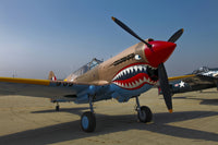 Curtiss P-40E Warhawk Poster Print displayed at Warhawk Air Museum, Nampa, Idaho.