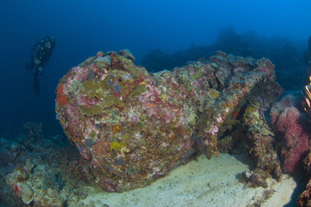 Diver exploring the wreck of a U.S. truck from World War II in the Solomon Islands