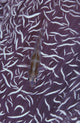 Goby fish on soft coral in the Maldives - poster print by Steve Jones.