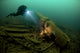 Diver exploring the wreck of the SS Laurentic ocean liner poster print by Stocktrek Images.