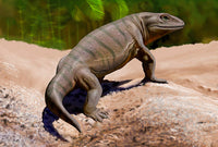 Seymouria Baylorensis from the Paleozoic Era Poster Print by Sergey Krasovskiy.