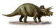Triceratops Prorsus Poster Print showcasing a dinosaur from the Late Cretaceous period.