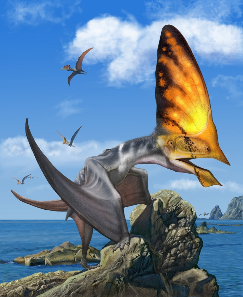 Tupandactylus perched on an outcrop during the Early Cretaceous Period poster print.