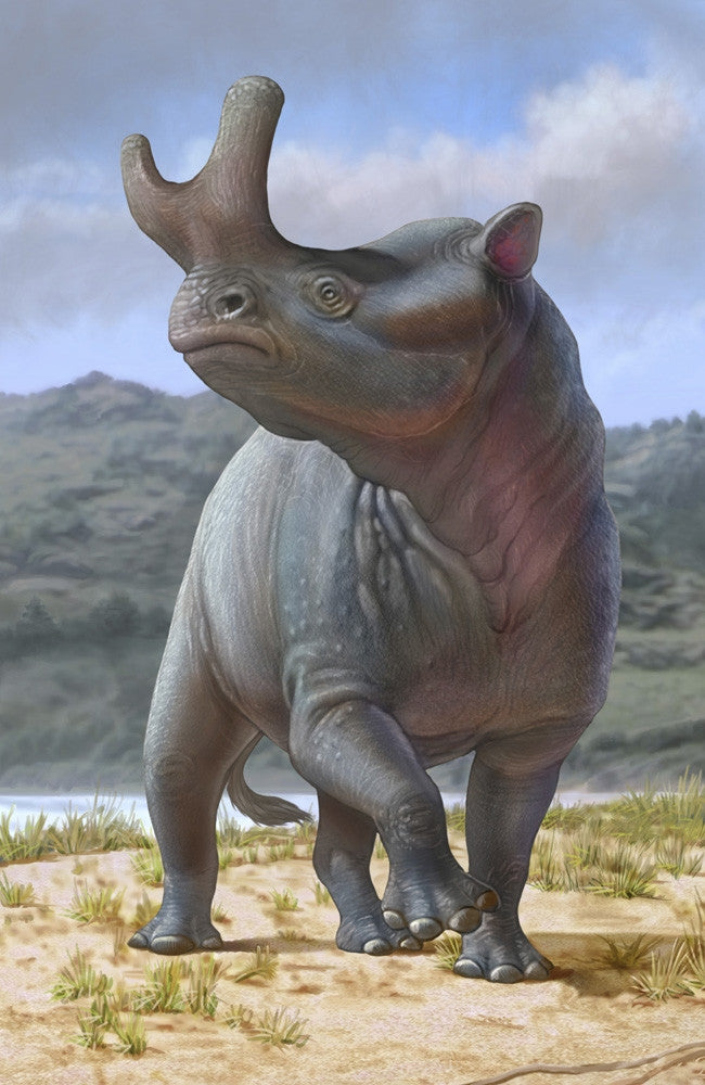 Brontotherium Searching for Herd Fine Art Print by Sergey Krasovskiy