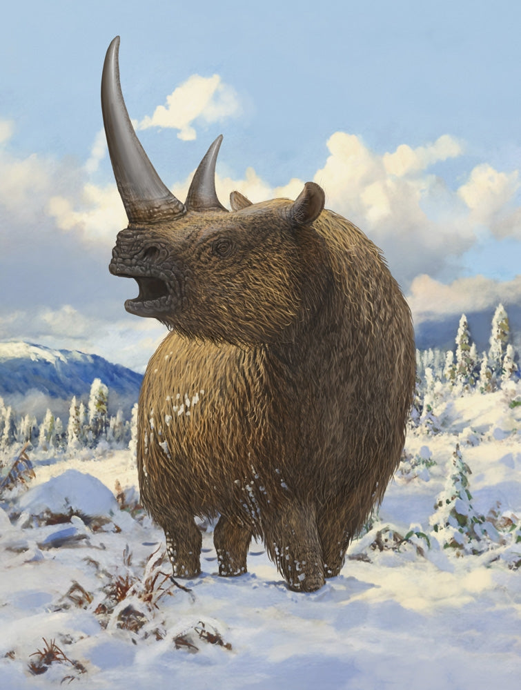 Woolly rhinoceros standing in the snow poster print by Sergey Krasovskiy.
