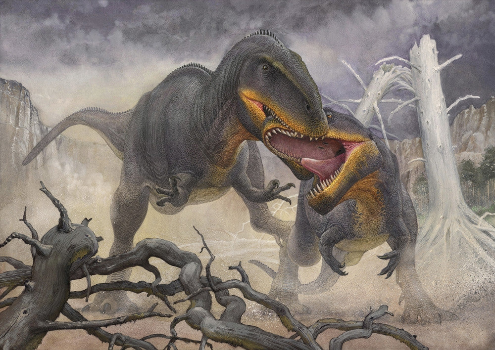 Tyrannotitan Male Dinosaurs Territorial Dispute Fine Art Print by Sergey Krasovskiy