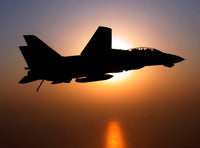 F-14D Tomcat in flight poster print showcasing the iconic fighter jet.