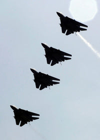 Four F-14D Tomcats in flight poster print showcasing military aircraft in action.