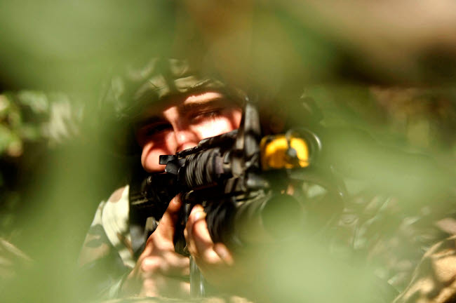 Airman Provides Cover Fire Poster Print by Stocktrek Images showcasing aerial combat.