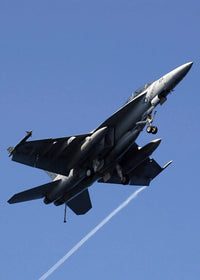 F/A-18F Super Hornet landing poster print showcasing arresting gear down.
