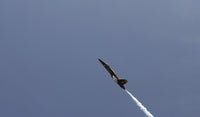 The Blue Angels performing aerial demonstrations during an air show poster print.