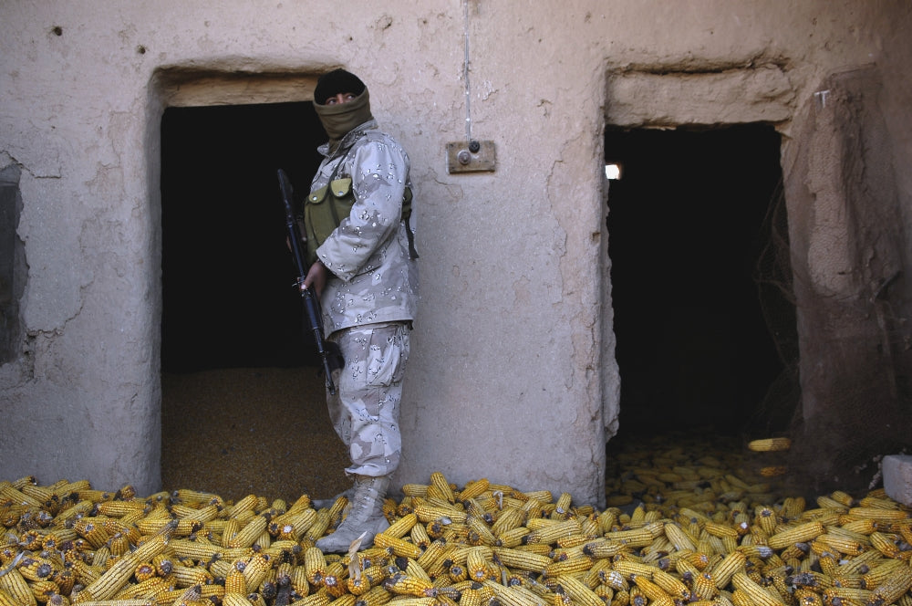 Iraqi army soldier checking corn storage room during military operation.
