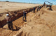 US Air Force Airmen Dig a Trench Poster Print showcasing airmen at work