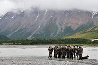 Navy SEALs prepare to cross Phelan Creek poster print