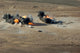 Hard Target Penetrating Bombs Exploding at Gordia Range Poster Print by Stocktrek Images