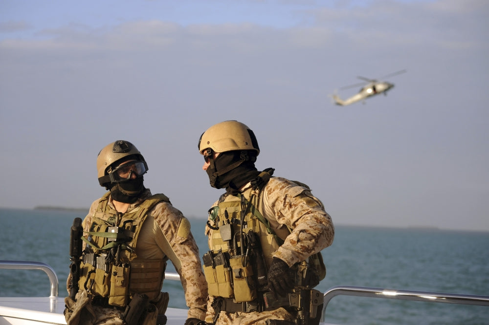 Seals Aboard a Rigid-Hull Inflatable Boat Poster Print