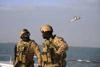 Seals Aboard a Rigid-Hull Inflatable Boat Poster Print