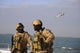Seals Aboard a Rigid-Hull Inflatable Boat Poster Print