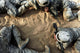 Poster print of basic trainees crawling through a tactical course