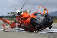 U.S. Coast Guard MH-65 Dolphin helicopter crash poster print.